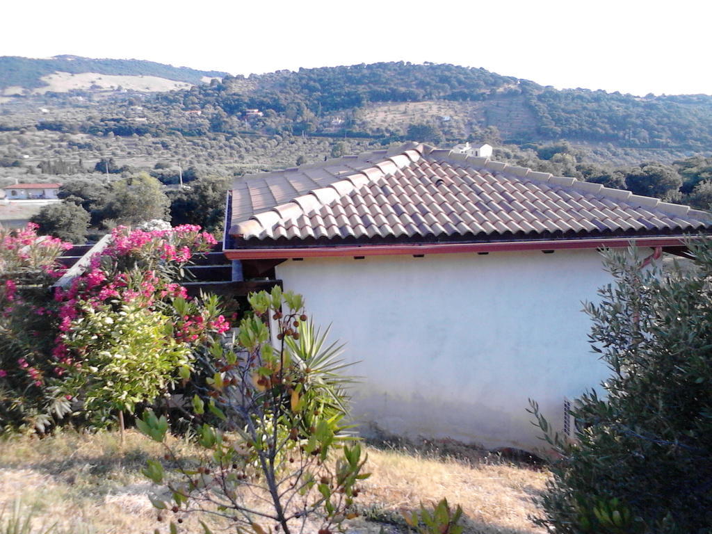 Affittacamere Valverde Di Naitana Rita Alghero Kamer foto